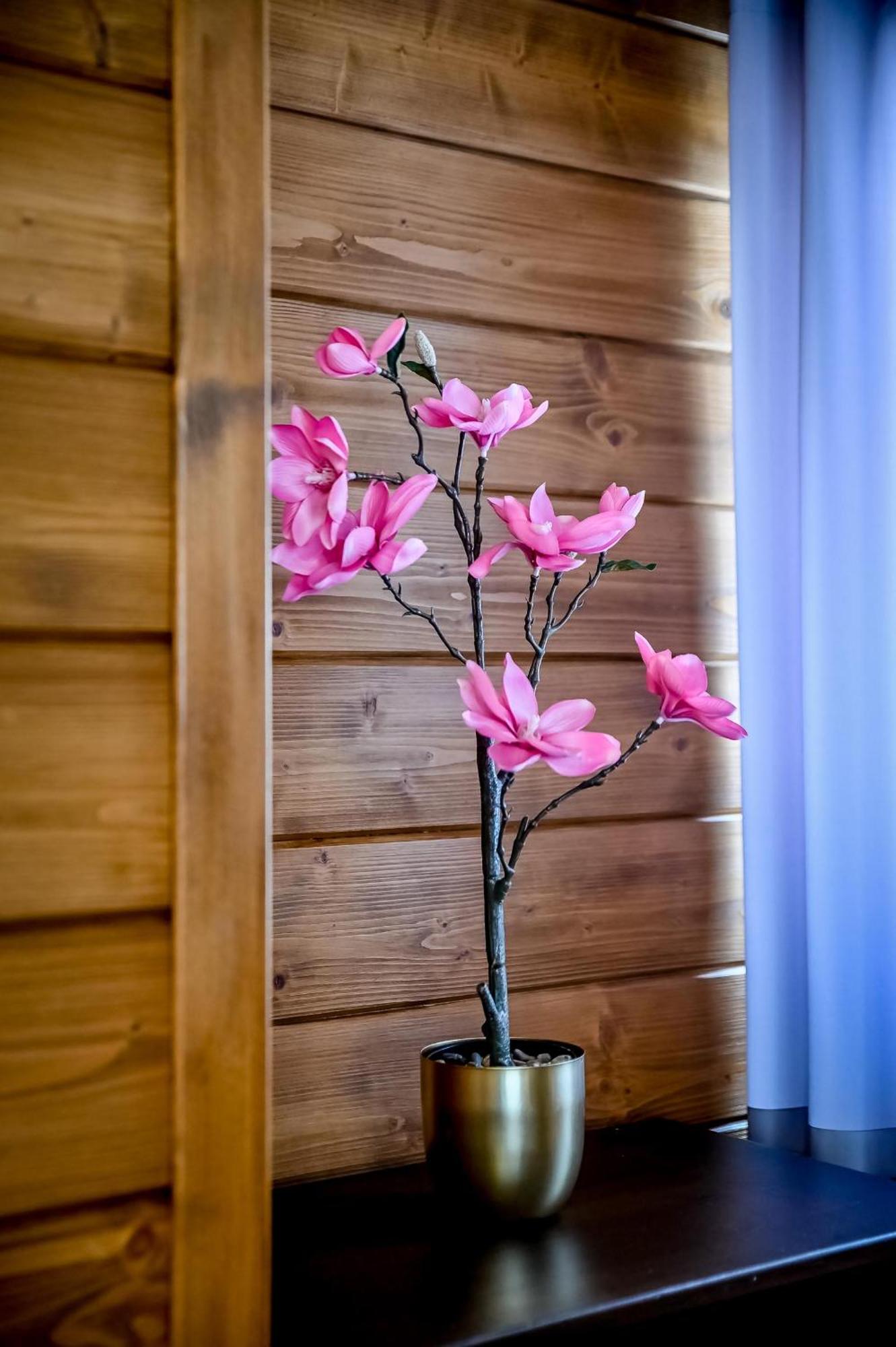 Chalet Na Budzu Zakopane